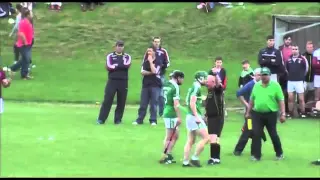 Wexford GAA Fight St Martins v Cloughbawn