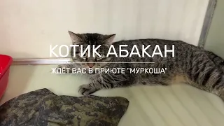 АБАКАН