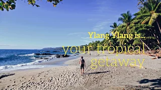 Ylang Ylang Beach Resort is Your Tropical Getaway in Montezuma Costa Rica