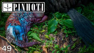 WALKING UNDER A ROOSTED GOBBLER | HOW DID THAT HAPPEN? | TURKEY HUNTING MINNESOTA- Pinhoti 2021