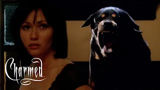 Prue Gets A Surprise Visitor | Charmed