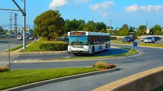 MTA Maryland: Bus Observations (September 2015) - Part 1/1 [#036]... NEW 1080p CAMERA!