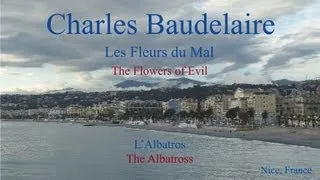French Poem - L'Albatros by Charles Baudelaire