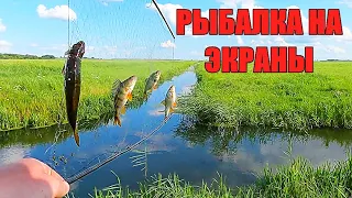 СНОВА ПОВЕЗЛО!!! Плотва и окуни не давали мне скучать. Рыбалка на экраны-телевизоры.