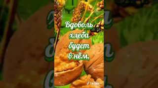 ОРЕХОВЫЙ СПАС. ГОТОВЬ РУКАВИЦЫ В ЗАПАС!