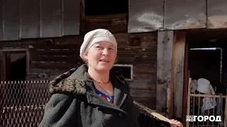 Женщина из Чувашии рассказывает, как содержать коров в деревне