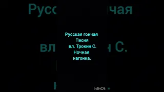 Русская гончая  Песня вл. Трокин Сергей .Ночная нагонка.