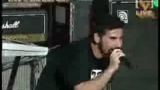 system of a down 2002 suite pee live big day out