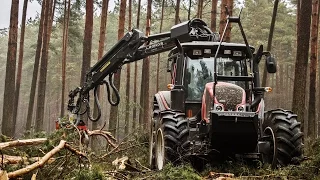 Wycinka drzew - prace leśne Leszno i okolice