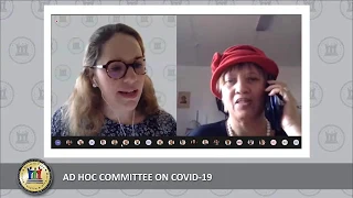 Ad Hoc Committee on Covid-19, 10 June 2020, 13:00