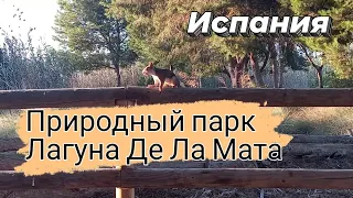 Природный парк Лагуна Де Ла Мата в Торревьехе. Место покоя и красоты