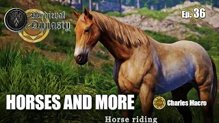 NEXT MAJOR UPDATES | HORSES AND MORE | MEDIEVAL DYNASTY | Ep. 36