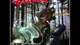 Terranoise  - Groovy Movie