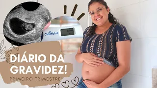 DIÁRIO DA GRAVIDEZ - PRIMEIRO TRIMESTRE! | Queda de cabelo, Creme para estrias, Quanto engordei...