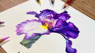 ✸ Techniques for Drawing Flowers ✸ Bearded Iris