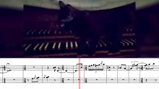 Black cat improvises music ( transcription )