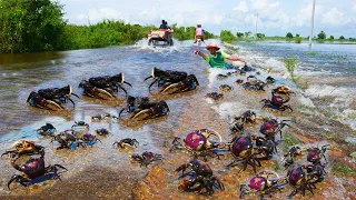 amazing fishing! a fisherman skill catch crabs a lots on the road flooding by best hand