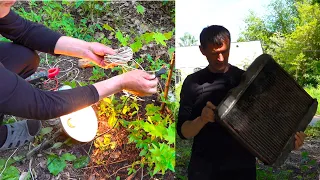 Бесплатное электричество из земли и старого радиатора