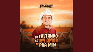 Tá Faltando Só Um Amor Pra Mim