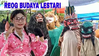 LIVE SHOW REOG BUDAYA LESTARI DI SUKASARI BLOK GEBANG