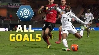 Ligue 1 - Week 24 : Goals compilation - 2013/2014