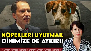 FATİH ERBAKAN : KÖPEKLERİ UYUTMAK DİNİMİZE DE AYKIRI !