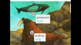 第89节:(续)海洋生物、两棲动物及爬虫类 Marine Life, Amphibians, and Reptiles