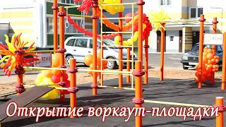 Открытие воркаут-площадки  ШАРКОВЩИНА