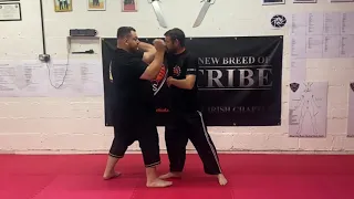 Silat Ulin Sera Self Defence Applications