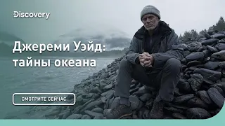 Всемирный потоп | Джереми Уэйд: тайны океана | Discovery