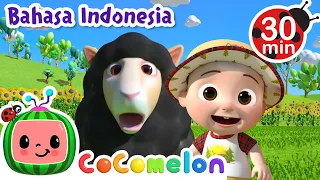 Si Domba Hitam | CoComelon | Kartun dan Lagu Anak | Moonbug Kids Indonesia