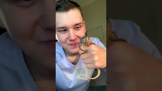 В следующий раз меняю лампу Перри🦎