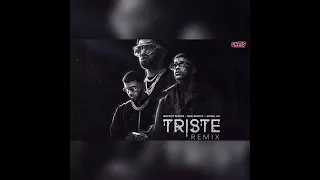 Triste Remix - Bryant Myers X Bad Bunny X Anuel AA (Remake) 2.0