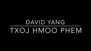 David Yang - Txoj Hmoo Phem (Higher Key Karaoke)