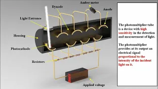 photomultiplier tube