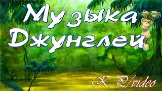 Музыка Джунглей  СУПЕР ПРОЕКТЫ ДЛЯ ДЕТЕЙ