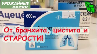 От бронхита, цистита, бесплодия и старости знакомый незнакомый АЦЦ! Сравниваем разных производителей