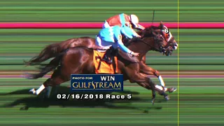 Gulfstream Park Replay Show | February 16, 2018