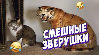 🤣ЛУЧШИЕ ПРИКОЛЫ С ЖИВОТНЫМИ | НОВЫЕ ПРИКОЛЫ С КОТАМИ, СОБАКАМИ | СМЕШНЫЕ ЖИВОТНЫЕ #14🤣🤣🤣