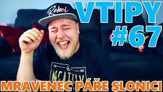 MRAVENEC PÁŘE SLONICI - VTIPY #67