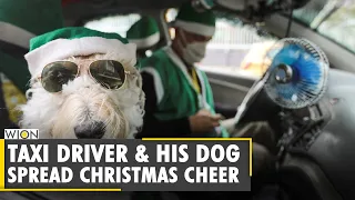 Fineprint: Colombian taxi driver and canine co-pilot spread Christmas cheer | World News | WION News