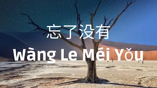 Wang Le Mei You 忘了没有 - 王靖雯不胖 Cover by Yun | Pocats Studio 【动态歌词 Pinyin Lyrics】