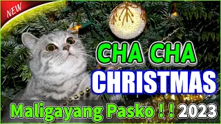 TOP TRENDING CHRISTMAS CHA CHA ( SPECIAL ) MEDLEY 2022 || BAGONG NONSTOP CHRISTMAS CHA CHA  DISCO ⛄