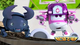 [超级飞侠5&6汇编] 第 10-12集连续观看 | 超级飞侠 | Superwings Chinese Official Channel