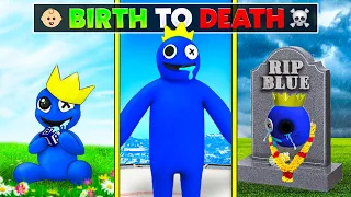 Rainbow Friends Blue's Birth To Death  In GTA 5