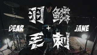 Dear Jane - 羽毛鱗刺 (Drum Cover by KenDub)