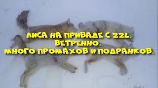 Охота на лису с 22лр. Вторая охота сезона.