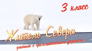 Диктант по русскому языку. 3 класс. С грамматическим заданием! Житель Севера #диктант3класс #диктант