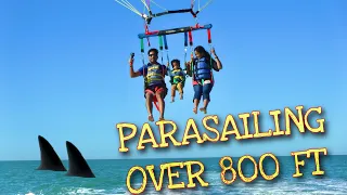 Parasailing in Florida over Dolphins | Gators Parasail
