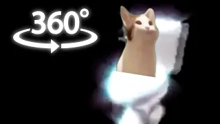 Popcat on polish toilet spin (in 360°)